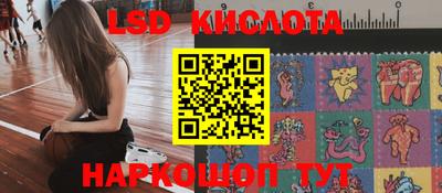 индика Жуковский
