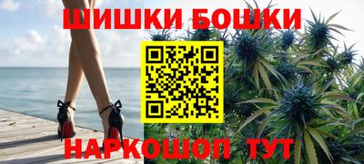 индика Жуковский
