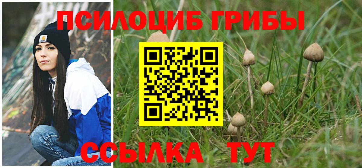 Луховицы  купить наркотики сайты  Вход с VPN  Псилоцибиновые грибы Psilocybine cubensis  Галлюциногенные грибы мухоморы 