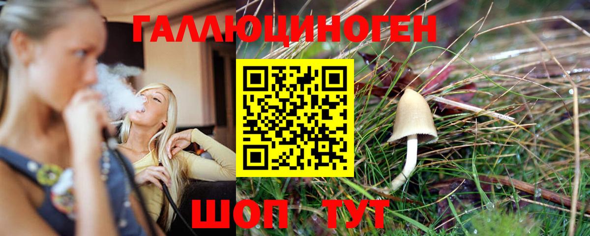 Псилоцибиновые грибы MAGIC MUSHROOMS Луховицы